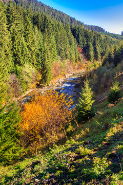 river flows by rocky shore near the autumn mountain forest
