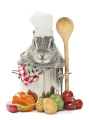 Kaninchen als Koch