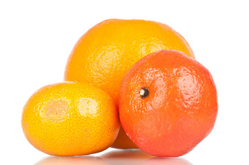 Citric fruits over a white reflective background