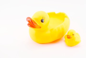 Yellow rubber duck on White Background