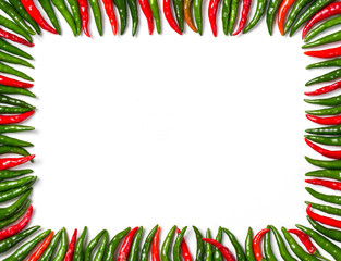 Rectangular red and green bird chili frame
