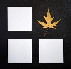 Maple Leaf and Three Sheets of Paper