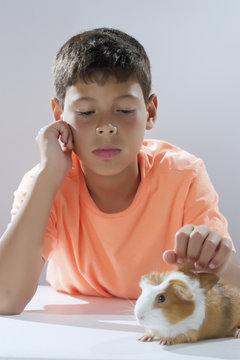 Ni&ntilde;o acaricia a su mascota, un acude, o cobayo