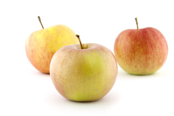 Autumn Apples