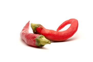 Two chilli peppers on a white background
