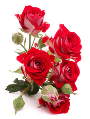 Fototapeta premium Red rose flower bouquet isolated on white background cutout