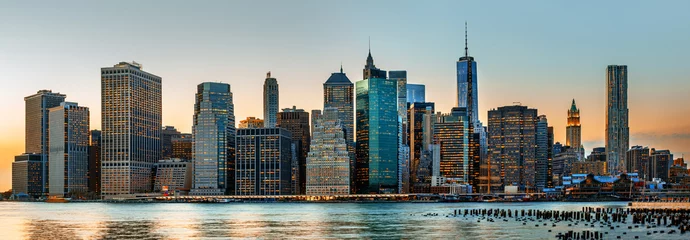 Foto op Plexiglas Panorama van de skyline van New York City © misu