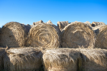 Stacked hay bundles.