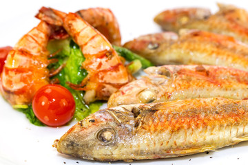 grilled fish with shrimp salad