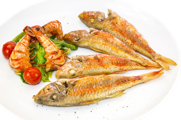 grilled fish with shrimp salad