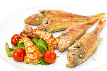 grilled fish with shrimp salad