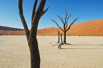 Sossusvlei Namib Wüste Dead Vlei bei Sesriem Namibia Afrika