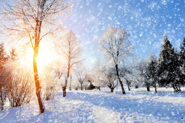 Winter park