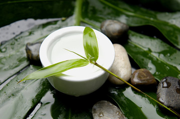 Zen stones and green leaf in bowl with water drops


