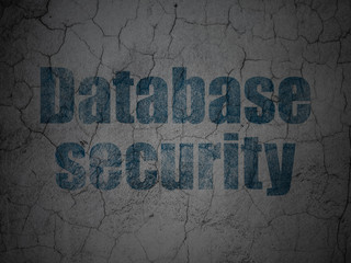 Privacy concept: Database Security on grunge wall background