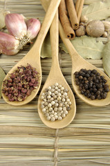 Allspice, peppercorns , nutmeg seeds on wooden spoon