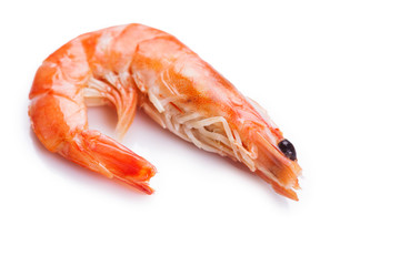 tiger shrimps