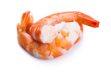 tiger shrimps