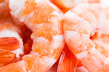 tiger shrimps