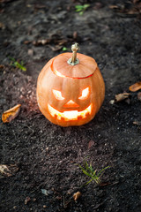 halloween jack-o-lantern standing on ground