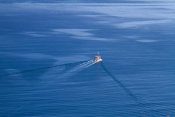 The Grand Blue