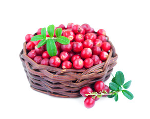 Fresh red cranberries