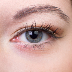 Obraz premium Close-up of grey women eye