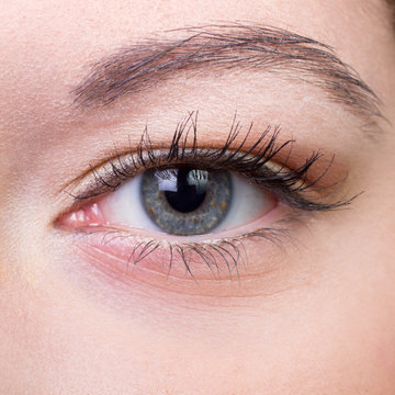 Close-up of grey women eye