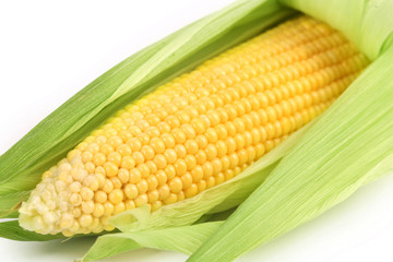 Background of corncob. Close up.