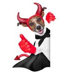 devil dog