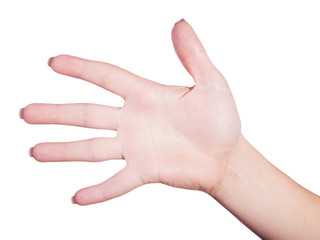 open female hand isolated