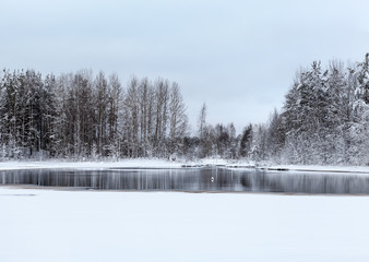 Lake and frozen trees at winter season