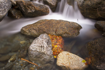autunno nel ruscello
