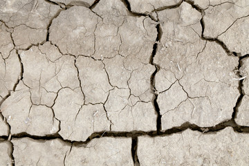 Dry cracked earth