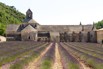 Abbey Senanque