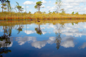 Reflections in water.