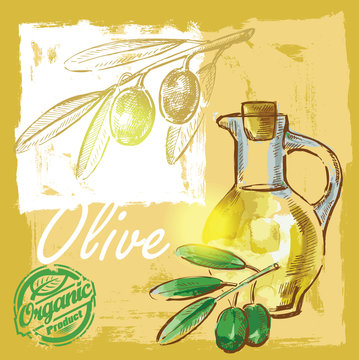 Fototapeta vector olive