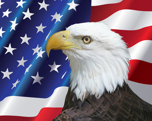 Bald Eagle portrait with USA flag Background
