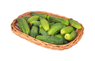 Cucumber gherkin in a wattled basket, isolated on white