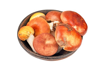 Boletus edulis mushroom in vintage clay bowl, isolated on white