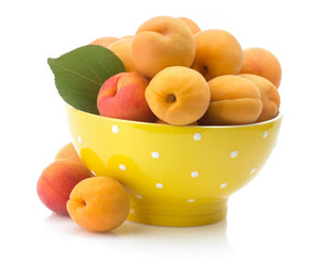 apricot on white background