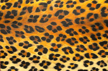 animal print Background Texture