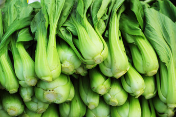 Green cabbage in the market.