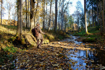 Fototapeta premium Walking in forest near creek