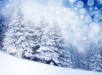 Christmas background with snowy firs