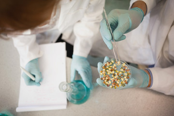 Two scientists wearing lab coats working with a petri dish and en erlenmeyer flask
