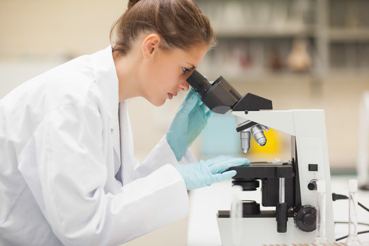 Concentrating brunette student looking through microscope