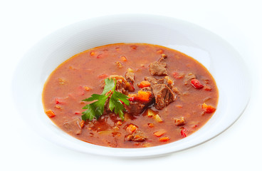 meat soup with vegetables