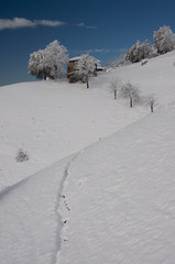 Monte Zambla - Baita