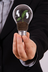 Business Woman Holding Light Bulb with Growing Plant